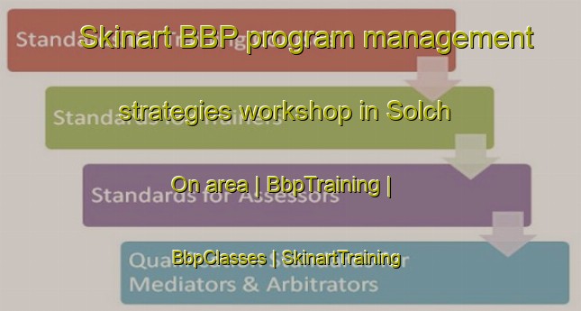 Skinart BBP program management strategies workshop in Solch On area | BbpTraining | BbpClasses | SkinartTraining-Democratic Peoples Republic of Korea